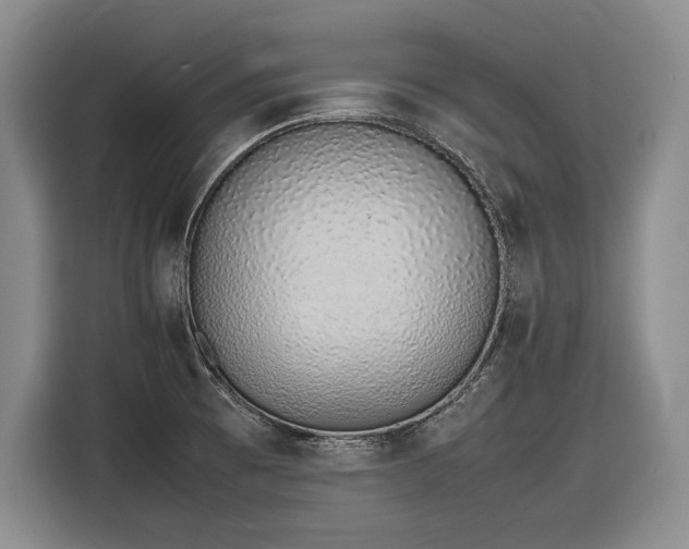 X0000116881473200912221416
