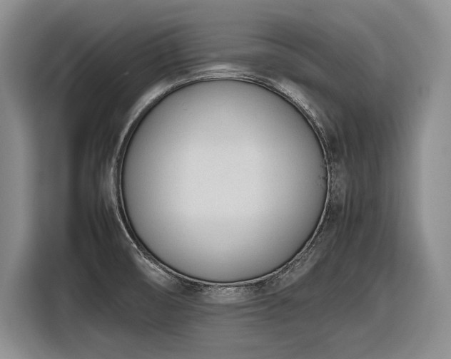 X0000116881474200912221416