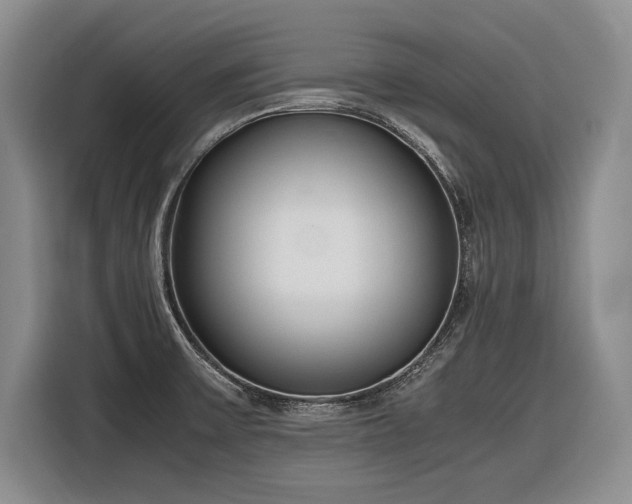 X0000116881475200912221416