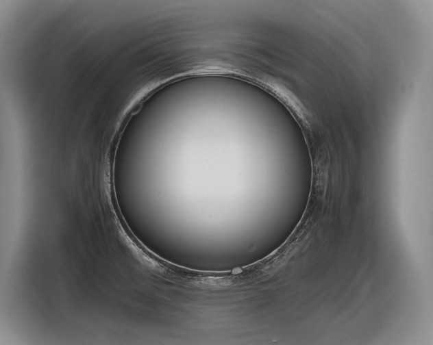 X0000116881476200912221416
