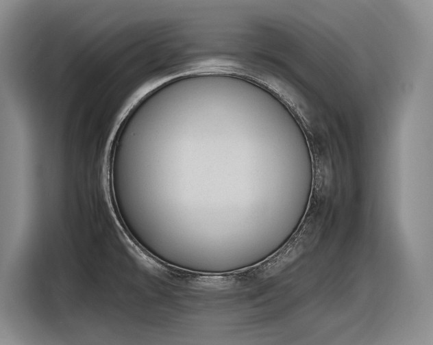 X0000116881478200912221416