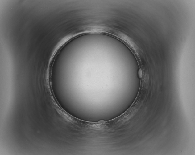 X0000116881480200912221416