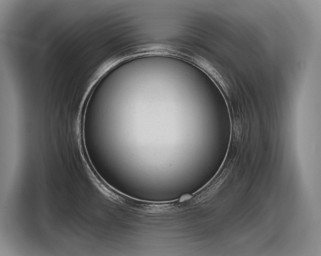 X0000116881482200912221416