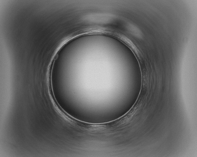 X0000116881483200912221415