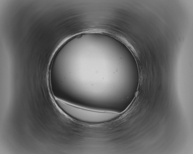 X0000116881484200912221415