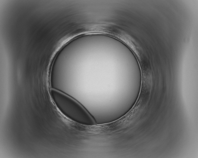 X0000116881485200912221415