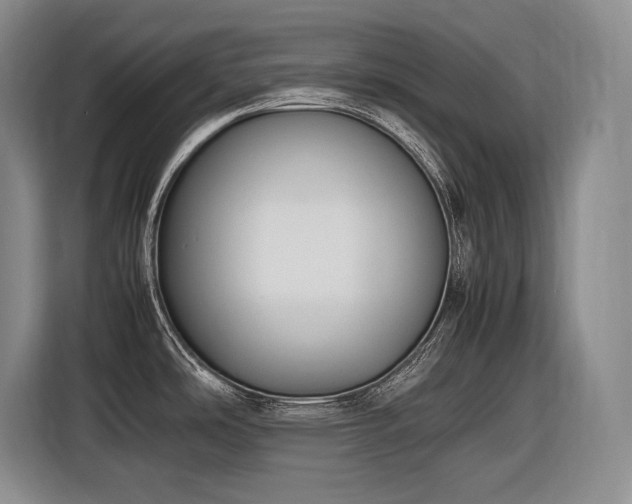 X0000116881486200912221415