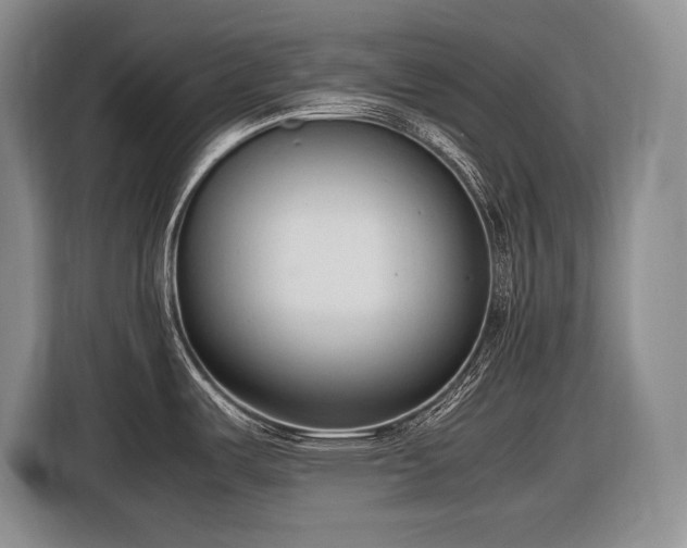 X0000116881487200912221415