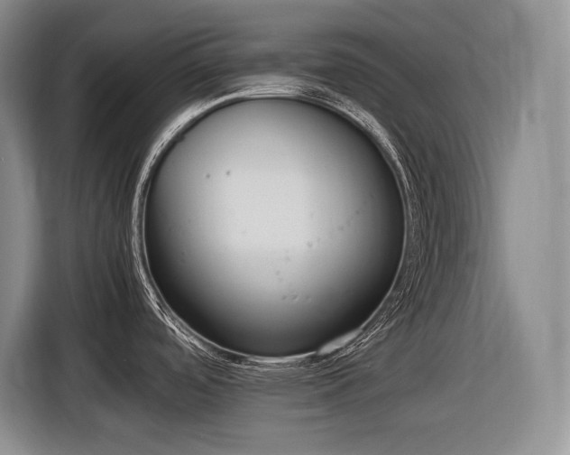 X0000116881488200912221415