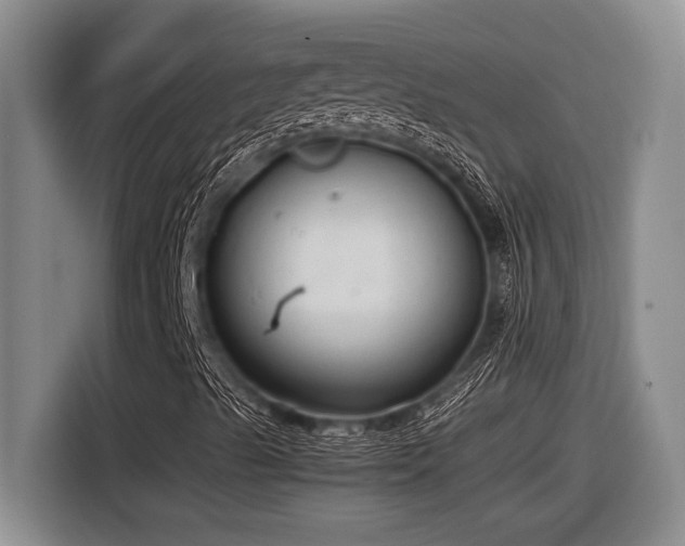 X0000116881489200912221415
