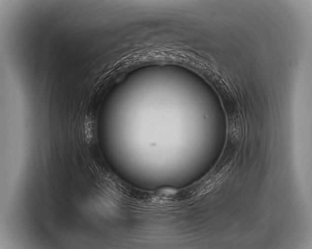 X0000116881490200912221415