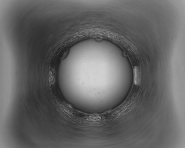 X0000116881491200912221415