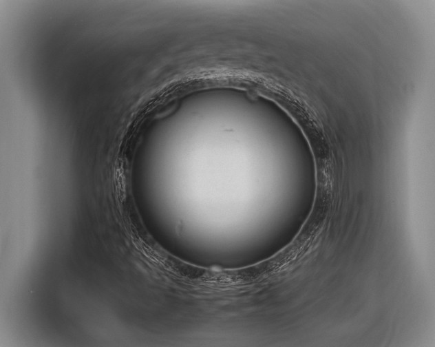 X0000116881493200912221415