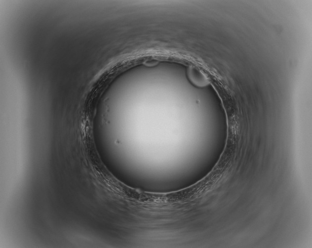 X0000116881495200912221415
