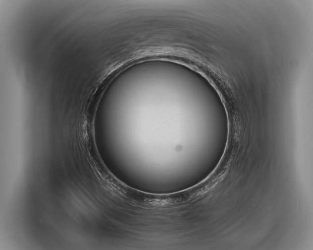 X0000116881497200912221415
