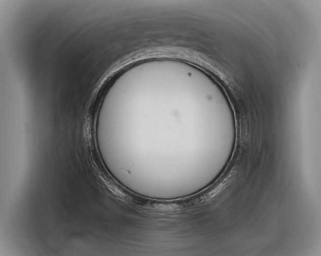 X0000116881498200912221415