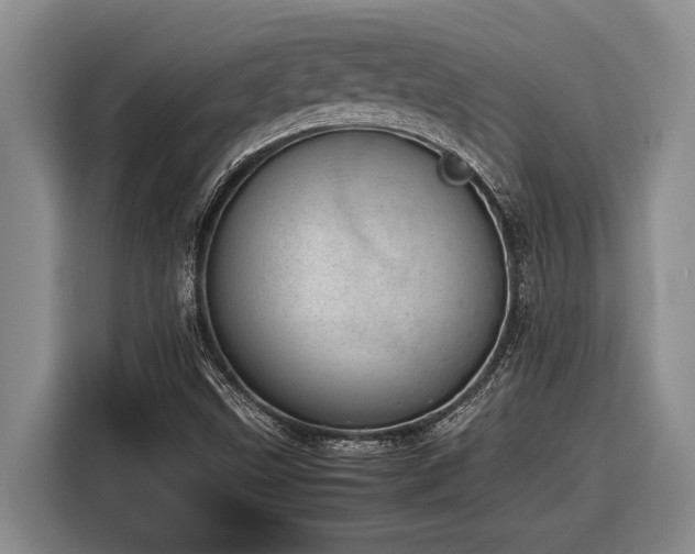 X0000116881499200912221415