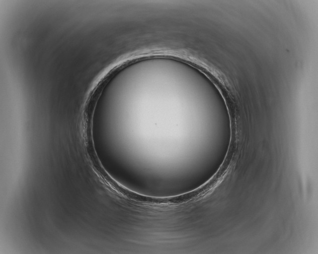 X0000116881502200912221415