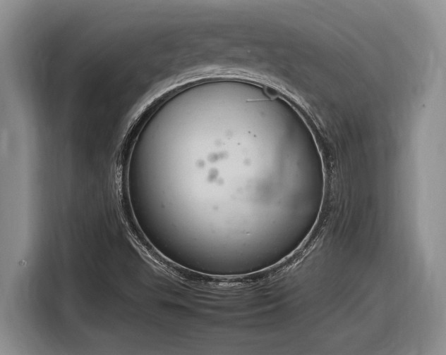 X0000116881503200912221415