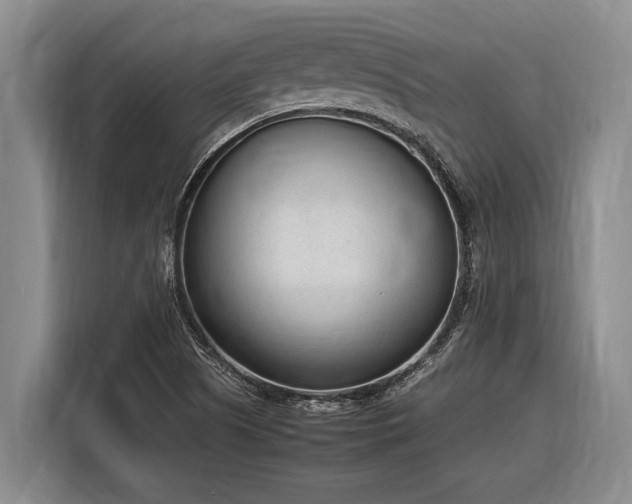 X0000116881505200912221415