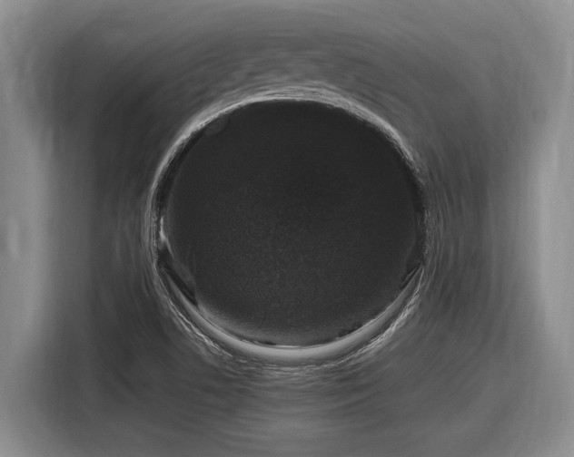 X0000116881506200912221415