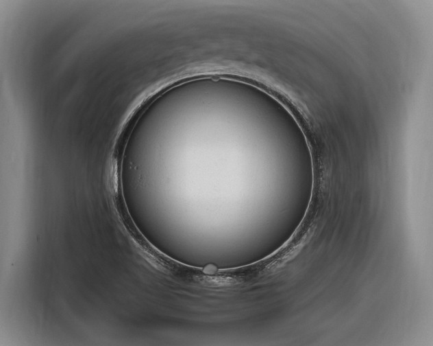 X0000116881509200912221415