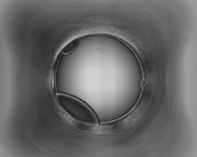 X0000116881510200912221415
