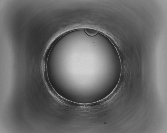 X0000116881511200912221415