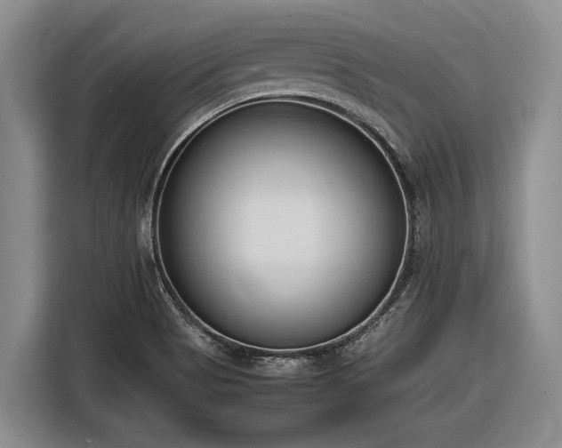 X0000116881513200912221415