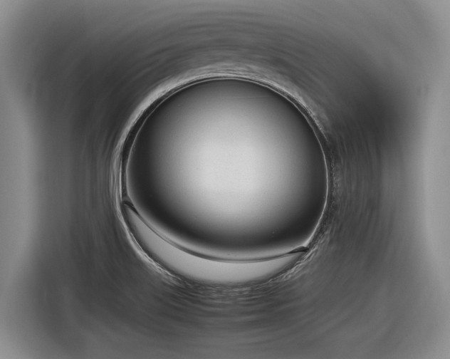 X0000116881515200912221415