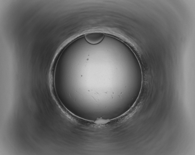 X0000116881517200912221415