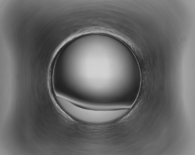 X0000116881518200912221415