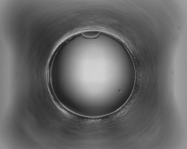 X0000116881519200912221415