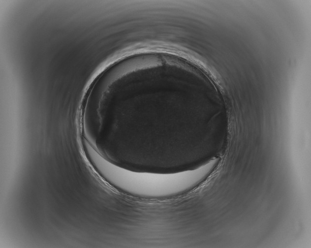 X0000116881522200912221415