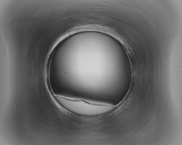 X0000116881523200912221415