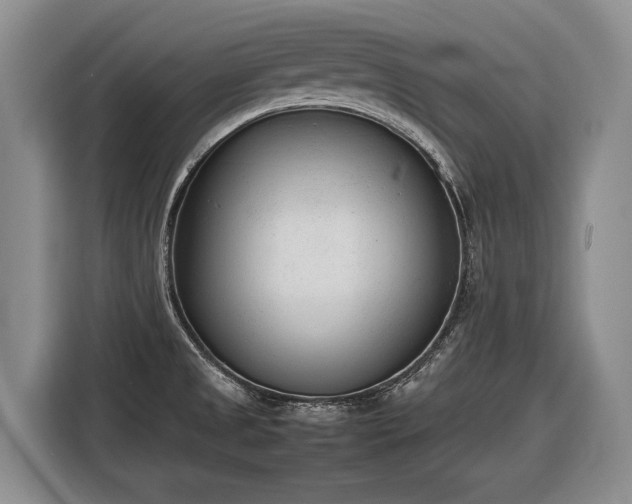 X0000116881525200912221415