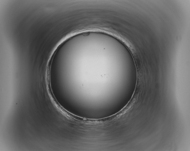 X0000116881526200912221415