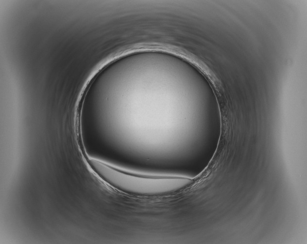 X0000116881527200912221415