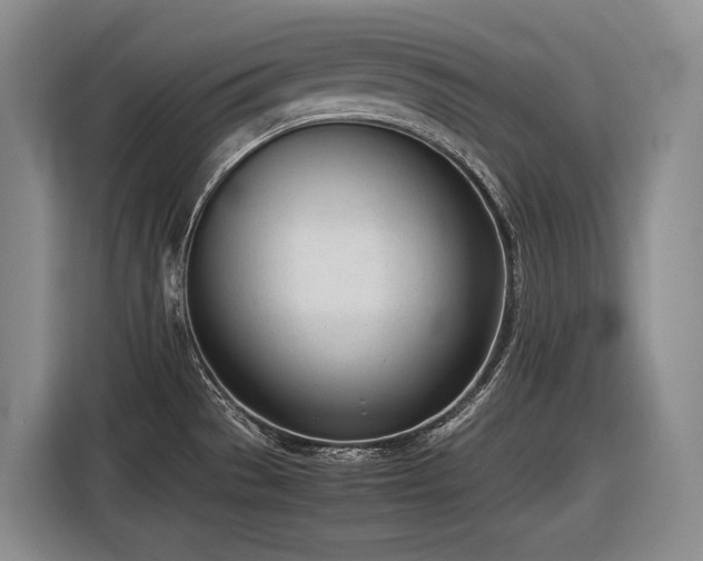 X0000116881529200912221415