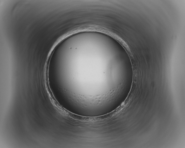 X0000116881530200912221415
