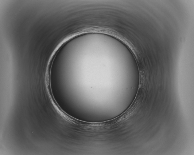 X0000116881531200912221415