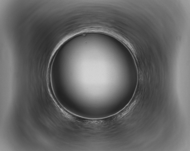 X0000116881533200912221415