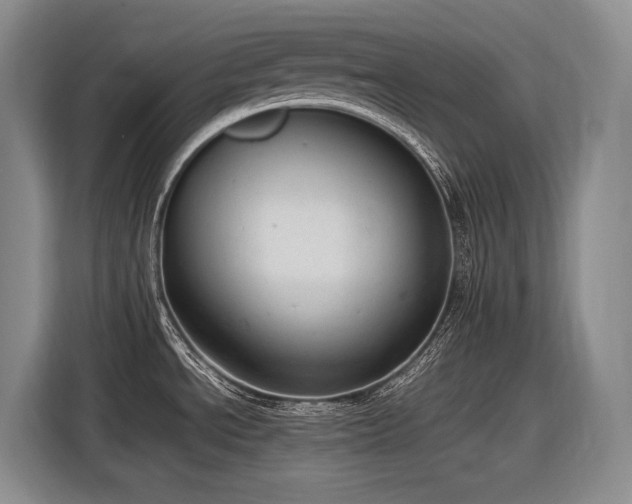X0000116881534200912221415