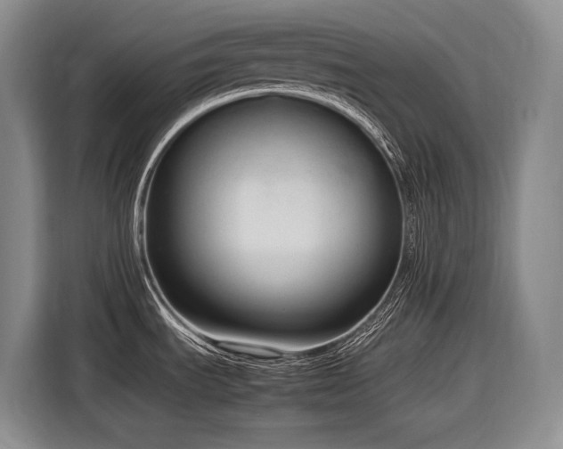 X0000116881535200912221415