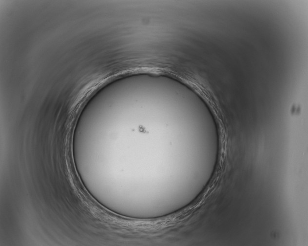 X0000116880001200912291252