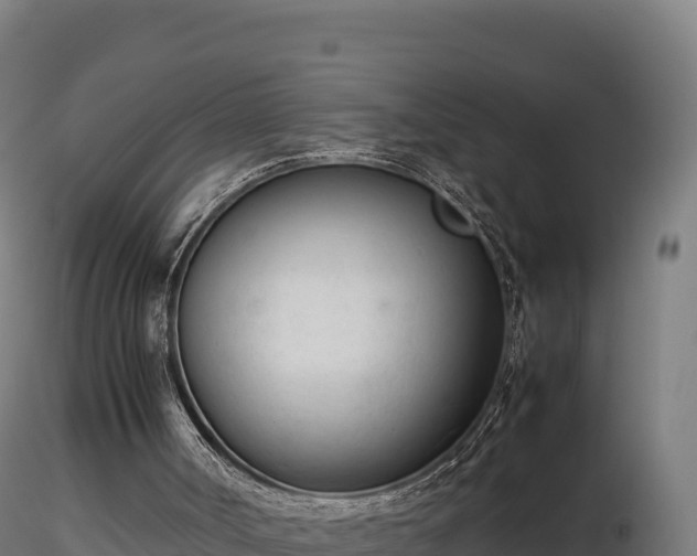 X0000116880002200912291252