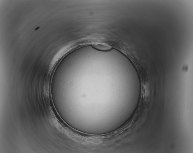 X0000116880004200912291252
