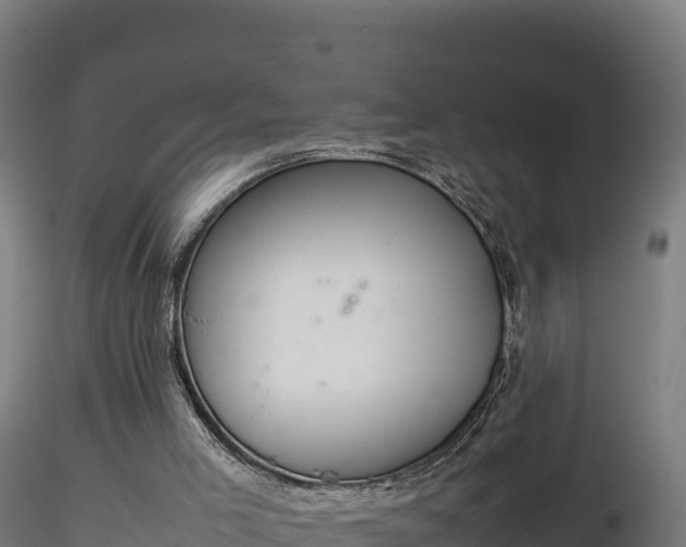 X0000116880005200912291252