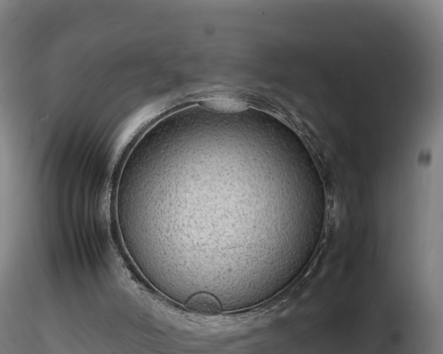 X0000116880006200912291252