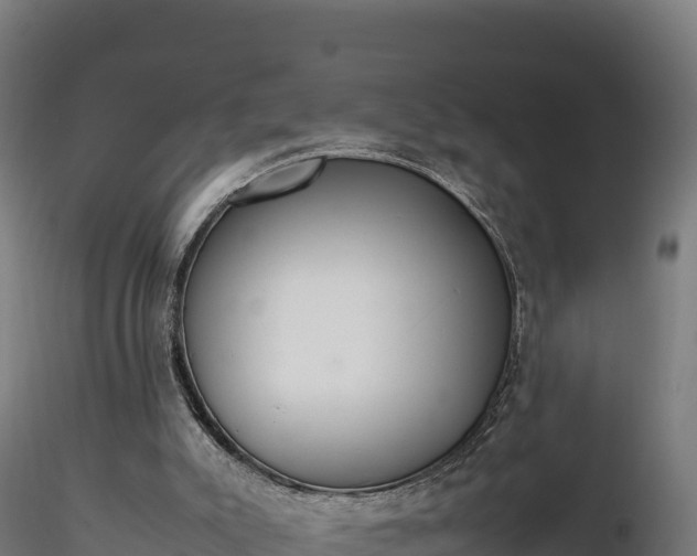 X0000116880007200912291252
